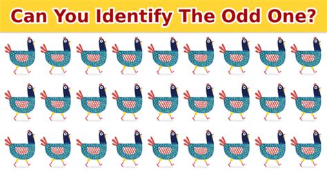 odd one out examples with answers|31 Odd One Out Trivia Quizzes .
